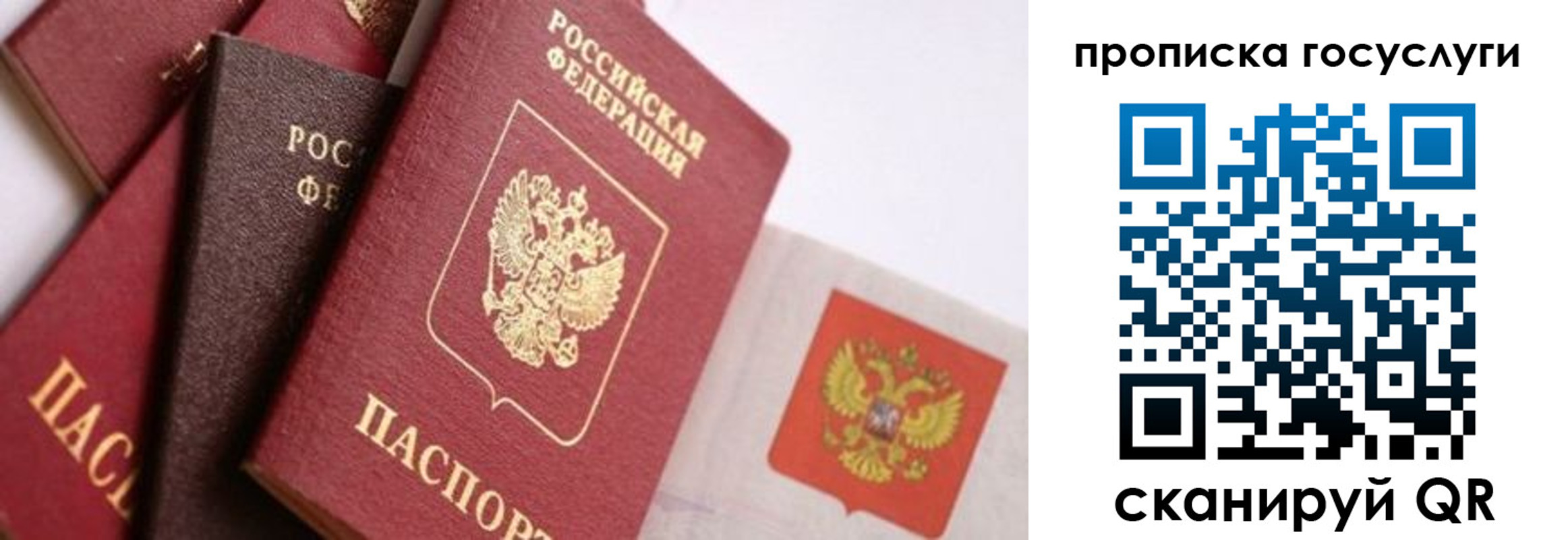 прописка законно в Фролово